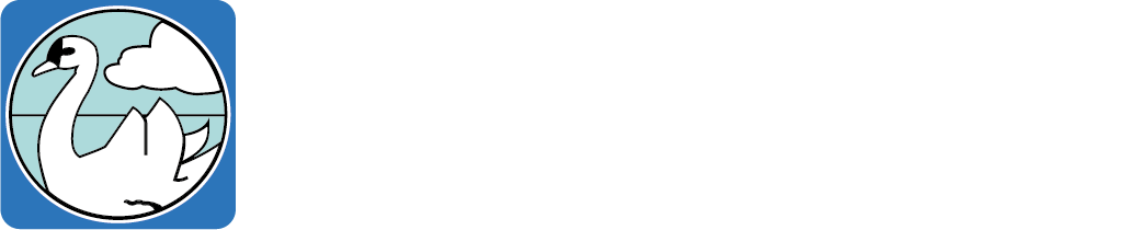 DAN SHIPPING